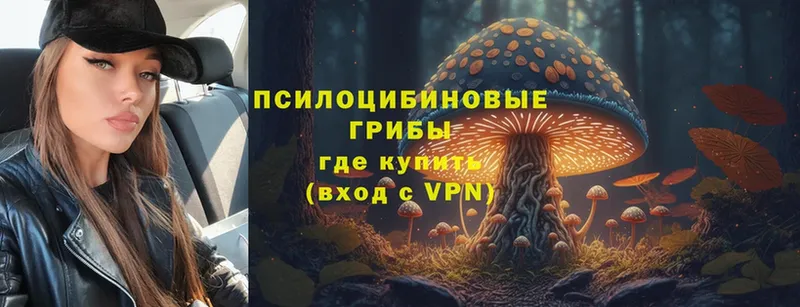 Псилоцибиновые грибы Psilocybe  Мензелинск 